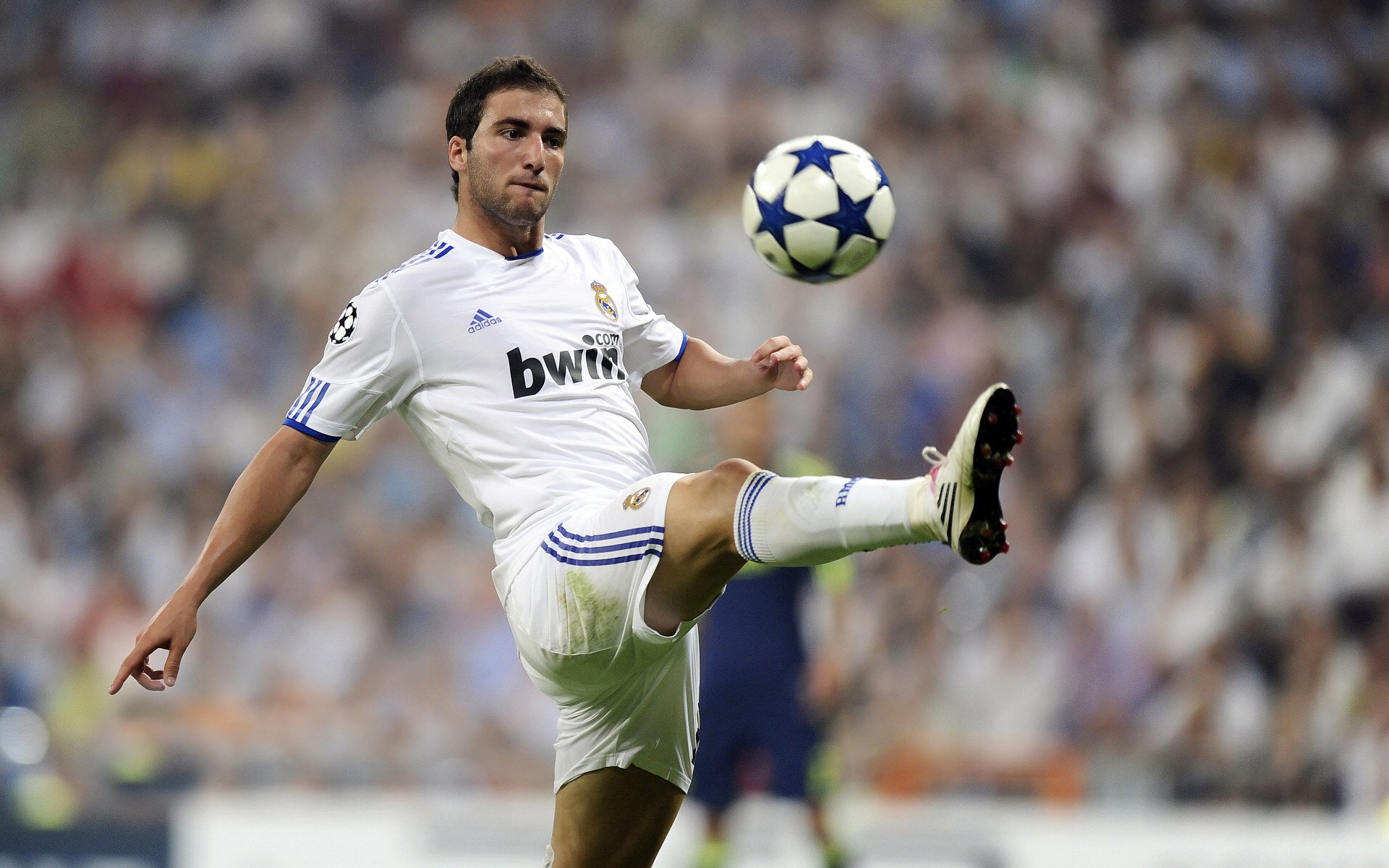 “SHO-CHAN Run 2025：跑者狂热，香港再掀赛事高潮”